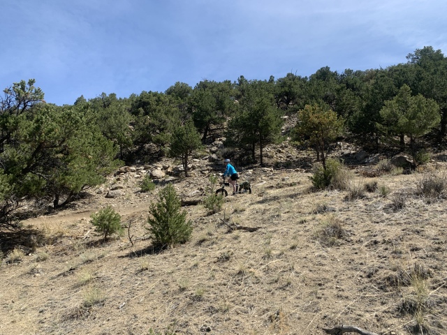 2020-05-17-Colorado-Buena-Vista-21-Suzi.JPG