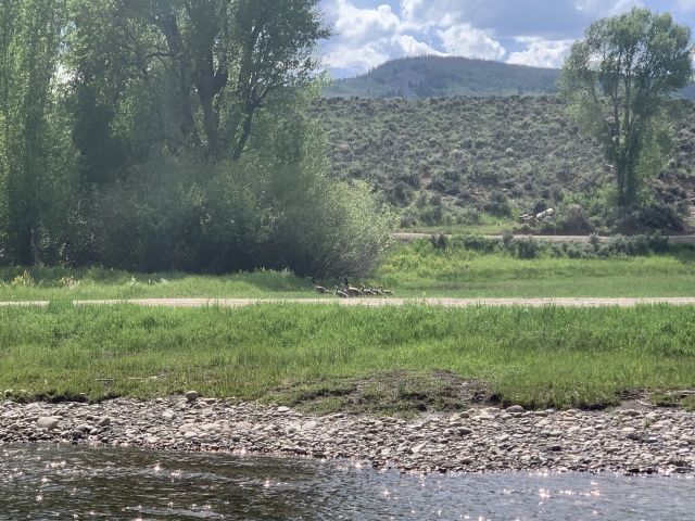 2020-06-05-Colorado-18-Blue-River.JPG