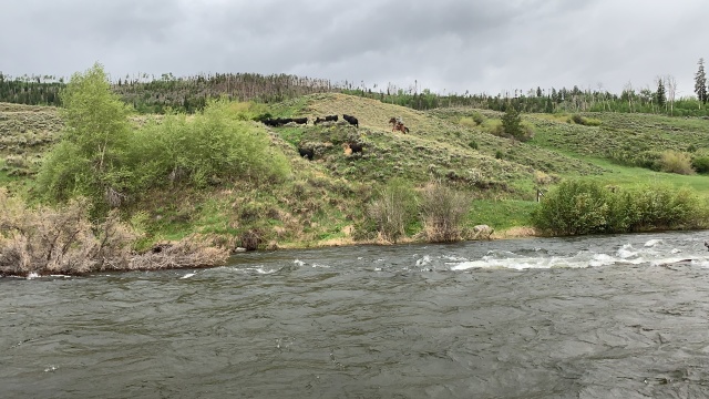 2020-06-06-Colorado-04-fishing-cowboy-wrangler.JPG