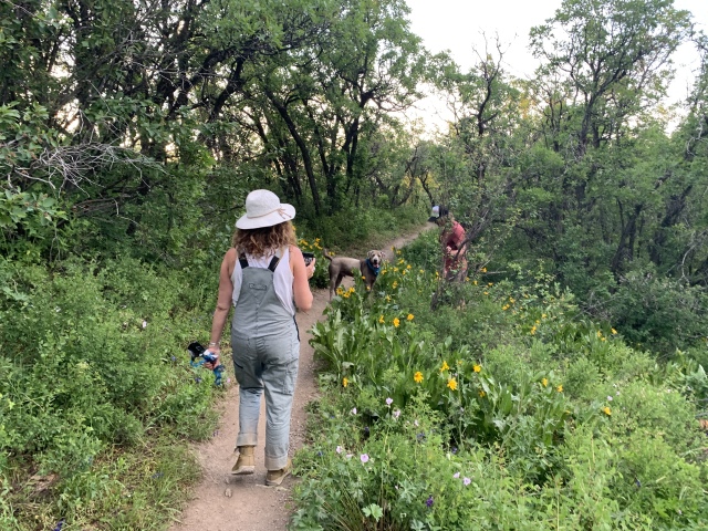 2020-06-12-Colorado-3-Steamboat-hiking-Angie-Hanz-Justin.JPG