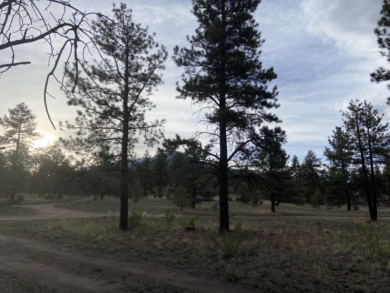2020/05(May)/Colorado/800x600_2020-05-15-Colorado-Salida-32.JPG