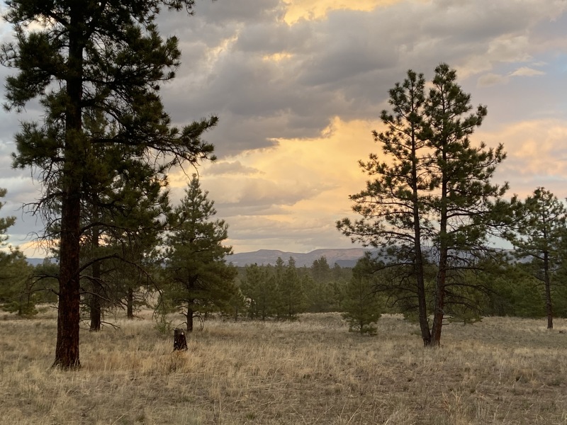 2020/05(May)/Colorado/800x600_2020-05-15-Colorado-Salida-35.JPG
