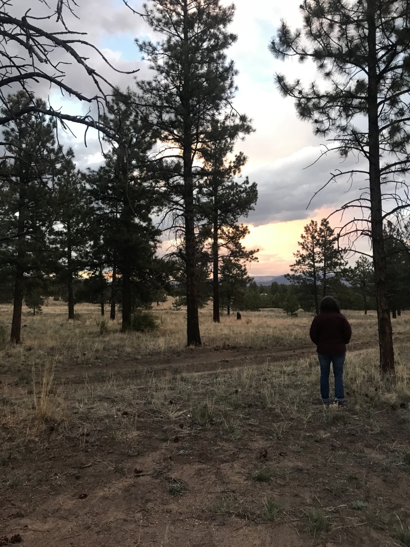 2020/05(May)/Colorado/800x600_2020-05-15-Colorado-Salida-38-Suzi.JPG