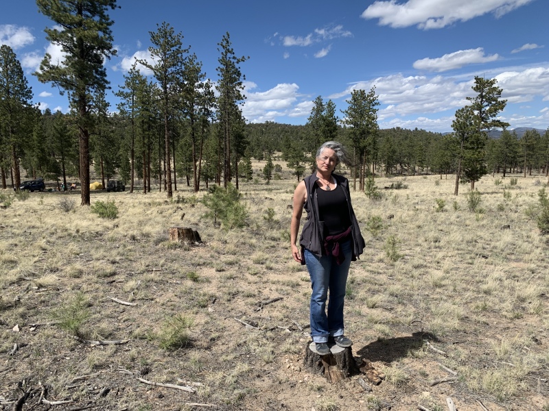 2020/05(May)/Colorado/800x600_2020-05-16-Colorado-Salida-20-Suzi.JPG