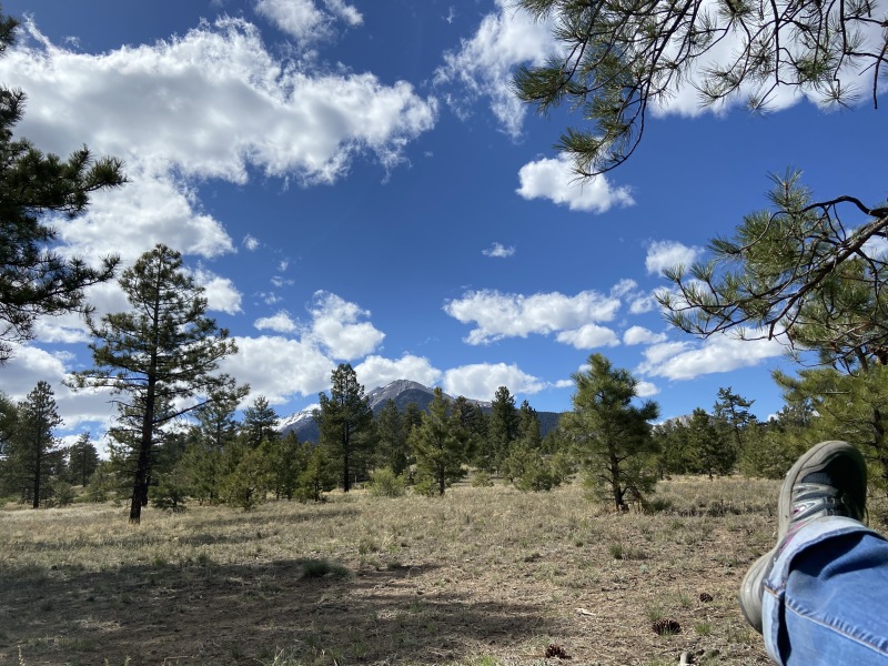 2020/05(May)/Colorado/800x600_2020-05-16-Colorado-Salida-27.JPG