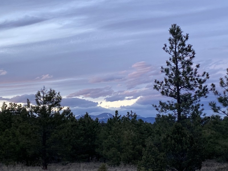 2020/05(May)/Colorado/800x600_2020-05-16-Colorado-Salida-33.JPG