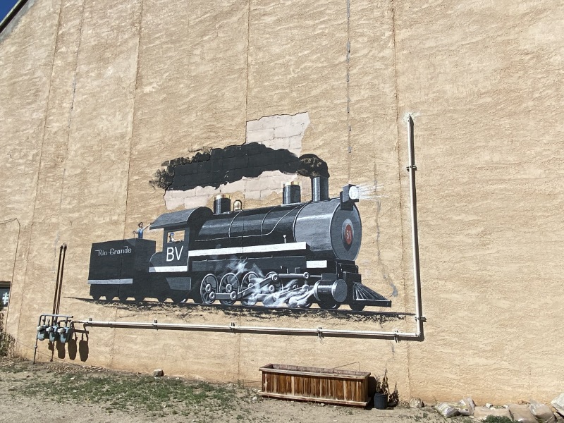 2020-05-17-Colorado-Buena-Vista-02-train.JPG