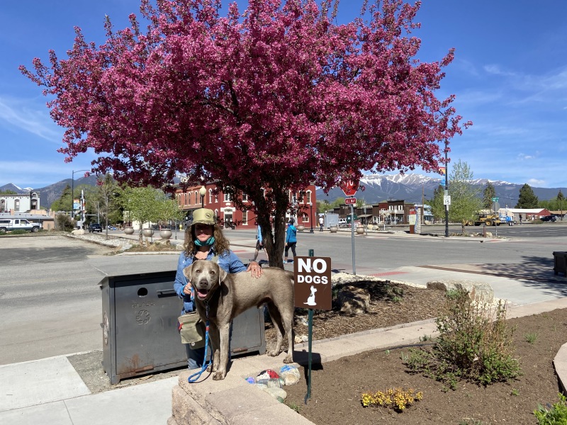 2020-05-17-Colorado-Buena-Vista-06-NO-DOGS-Hanz-Angie.JPG