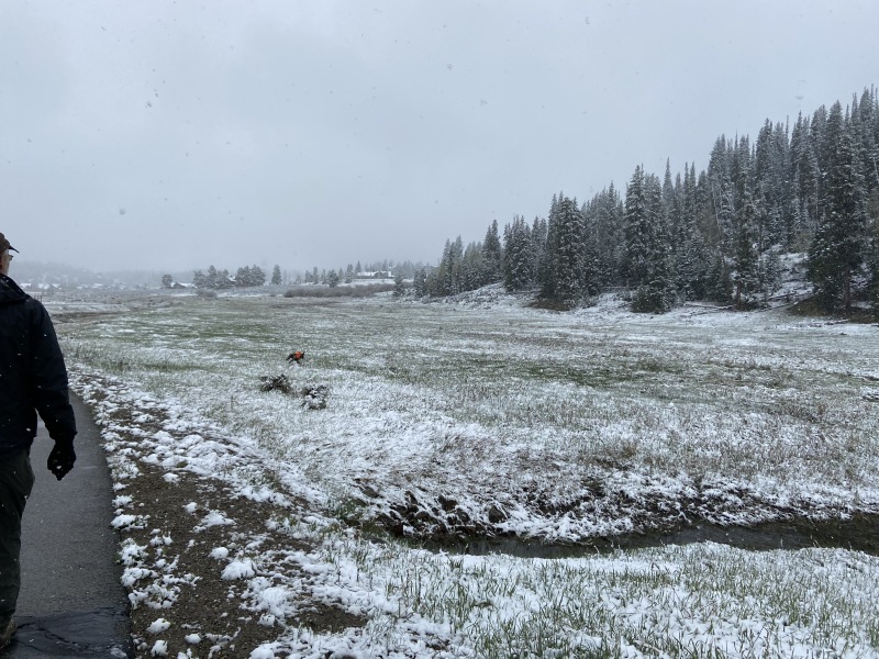 2020/05(May)/Colorado/800x600_2020-05-24-Colorado-18-Travis-Blaze.JPG