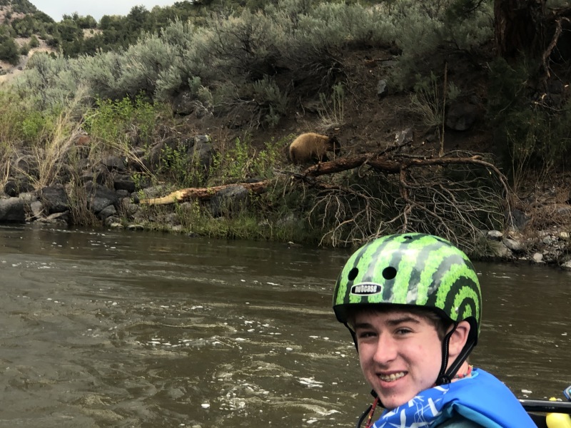 2020/05(May)/Colorado/800x600_2020-05-27-Colorado-15-bear-Ian.JPG