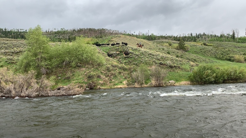 2020-06-06-Colorado-05-fishing-cowboy-wrangler.JPG