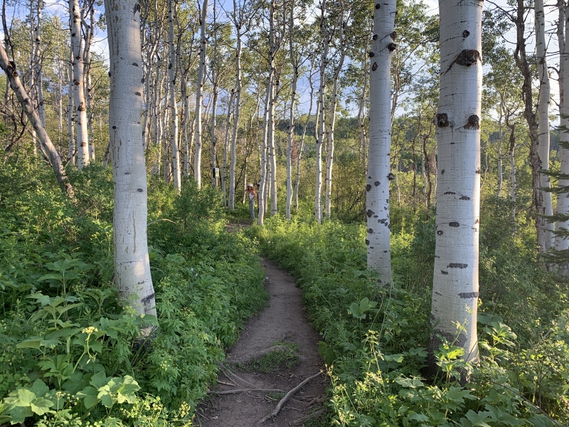2020/05(May)/Colorado/800x600_2020-06-12-Colorado-1-Steamboat-hiking.JPG
