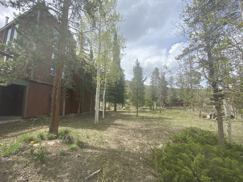 2020-05-27-Colorado-House-Hunting-02-Woodpecker-house.JPG