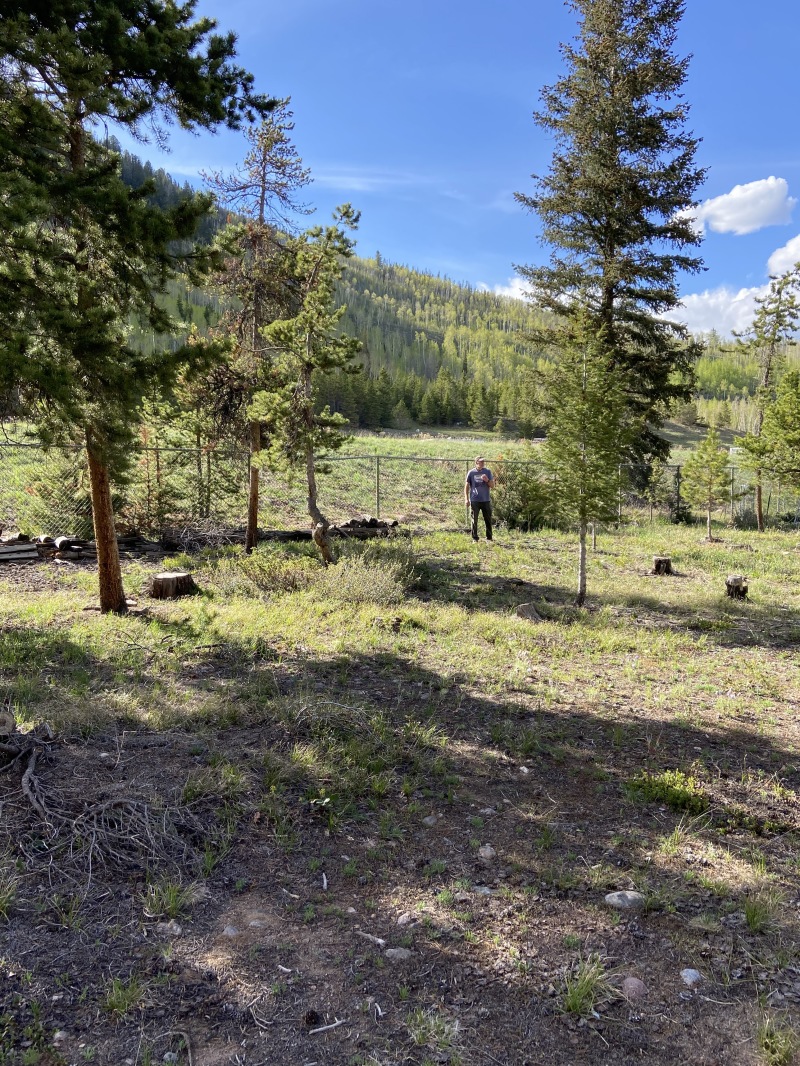 2020-05-27-Colorado-House-Hunting-04-Woodpecker-house.JPG