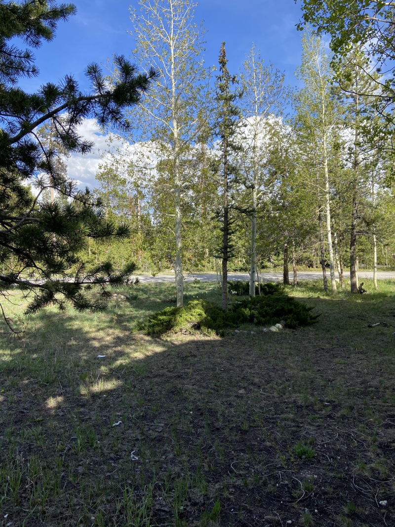 2020-05-27-Colorado-House-Hunting-06-Woodpecker-house.JPG
