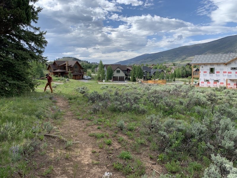 2020/05(May)/Colorado/House-Hunting/800x600_2020-07-03-Colorado-House-Hunting-02.JPG