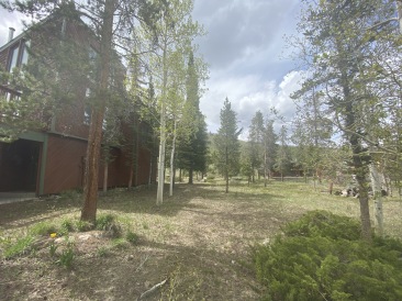 2020-05-27-Colorado-House-Hunting-02-Woodpecker-house.JPG