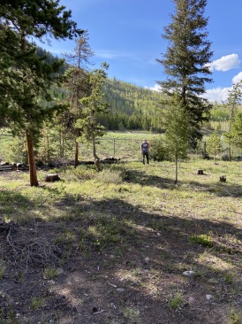 2020-05-27-Colorado-House-Hunting-04-Woodpecker-house.JPG