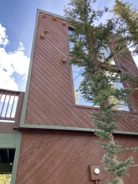 2020-05-27-Colorado-House-Hunting-07-Woodpecker-house.JPG
