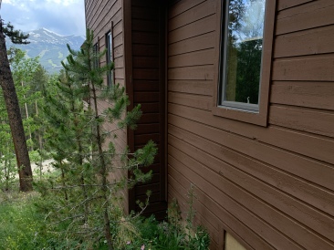 2020-07-02-Colorado-House-Hunting-07.JPG