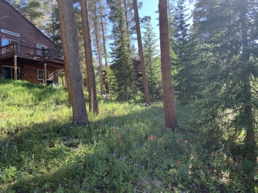 2020-07-09-Colorado-House-Hunting-06.JPG
