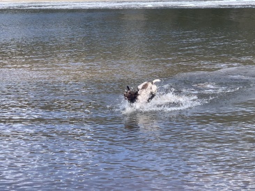 2020-05-04-Colorado-07-Blaze.JPG