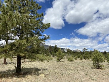 2020-05-16-Colorado-Salida-10.JPG