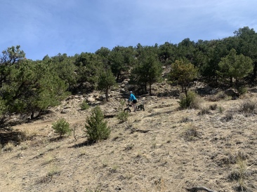 2020-05-17-Colorado-Buena-Vista-21-Suzi.JPG
