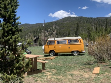 2020-05-22-Colorado-02-buttercup.JPG