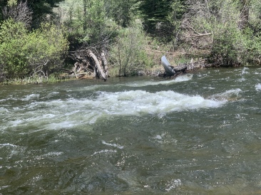 2020-06-06-Colorado-09-fishing-sunk-canoe.JPG