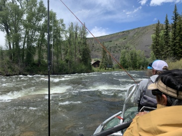 2020-06-06-Colorado-11-fishing-Bert.JPG