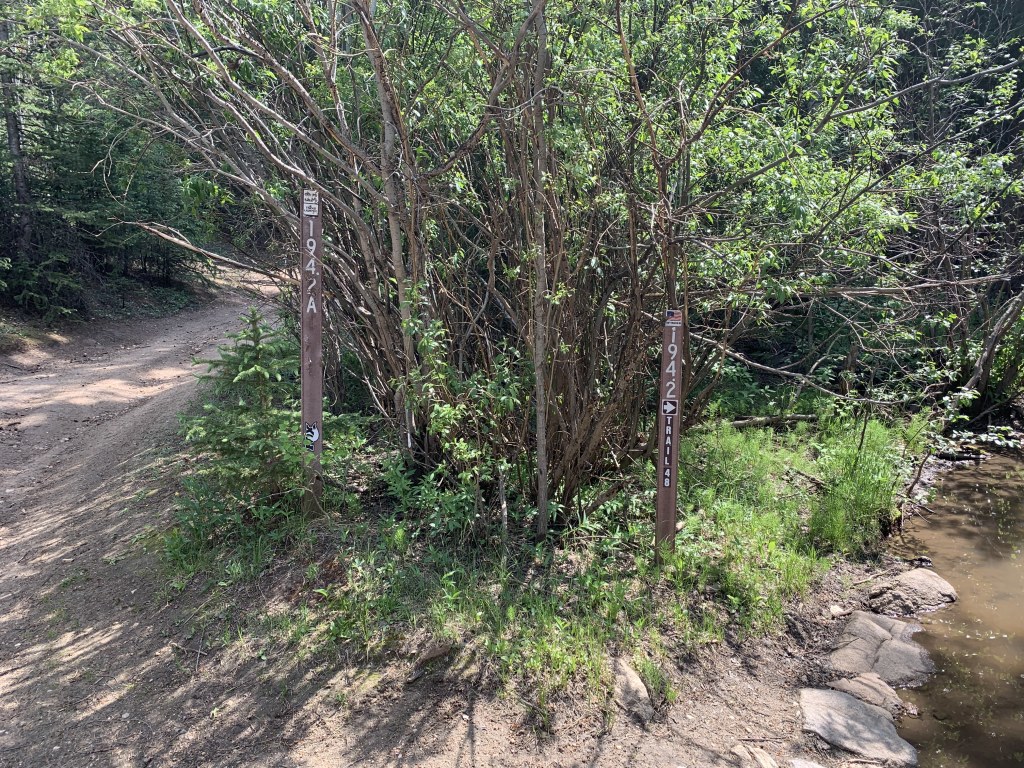 2020-06-15-Colorado-03-Idaho-Springs-biking.JPG