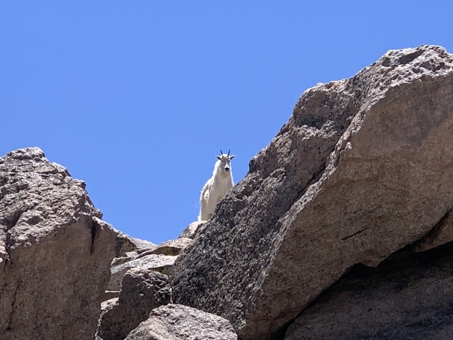 2020-06-27-Colorado-Idaho-Springs-Mt-Evans-08.JPG