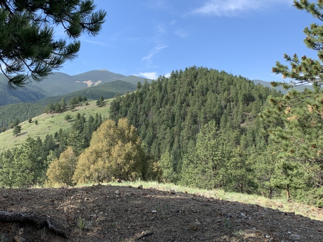 2020-06-28-Colorado-Idaho-Springs-Hiking.JPG