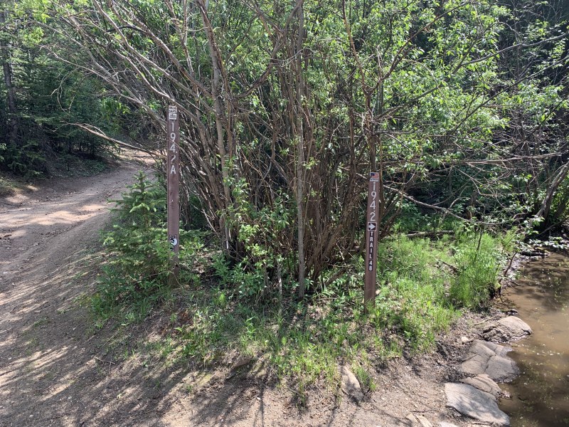 2020-06-15-Colorado-03-Idaho-Springs-biking.JPG