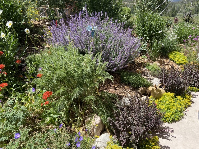 2020-07-27-Breckenridge-House-Inspection-46-flowers.JPG