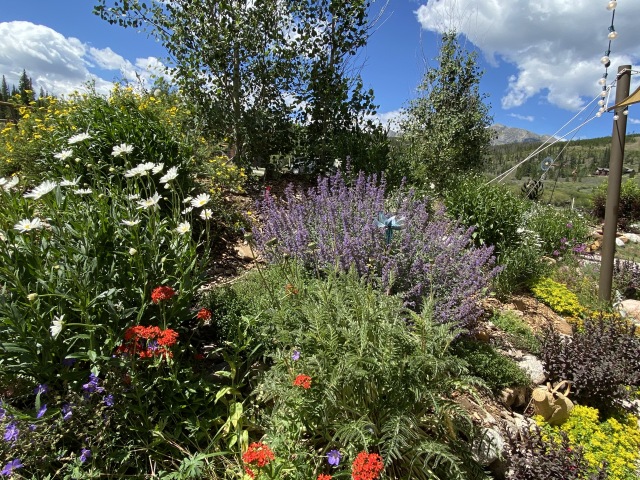 2020-07-27-Breckenridge-House-Inspection-47-flowers.JPG