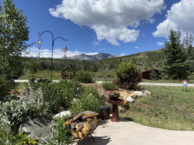 2020-07-27-Breckenridge-House-Inspection-48flowers.JPG