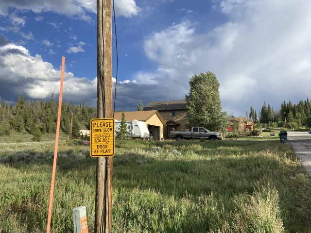 2020/07(July)/Breckenridge-House/640x480_2020-07-27-Breckenridge-House-Inspection-54-Dogs-at-Play.JPG
