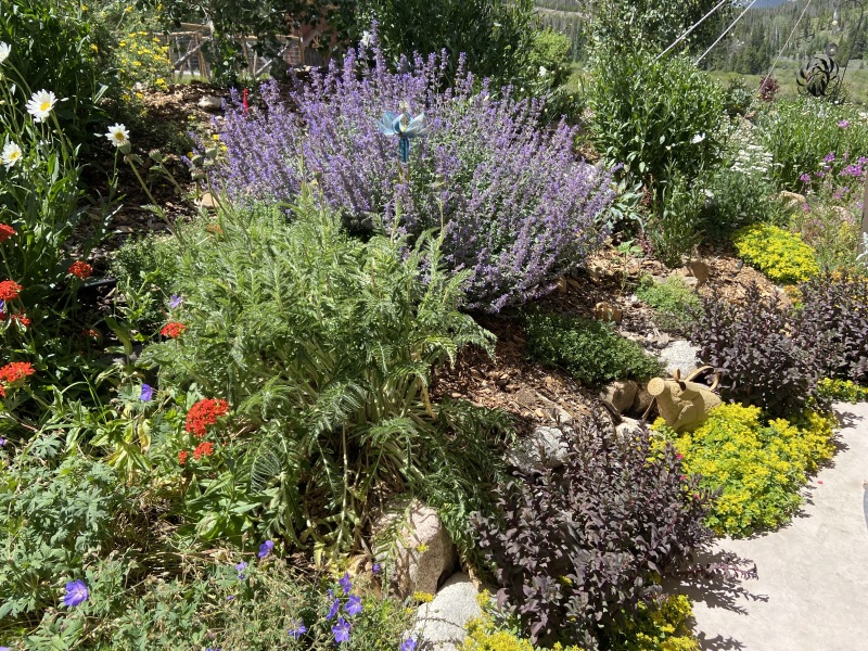 2020-07-27-Breckenridge-House-Inspection-46-flowers.JPG