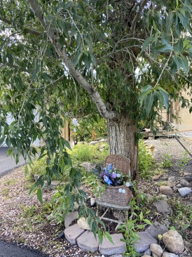 2020-07-27-Breckenridge-House-Inspection-14-tree.JPG