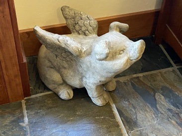 2020-07-27-Breckenridge-House-Inspection-24-Flying-Pig.JPG