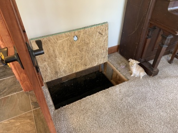 2020-07-27-Breckenridge-House-Inspection-66-basement-access-in-downstairs-den.JPG