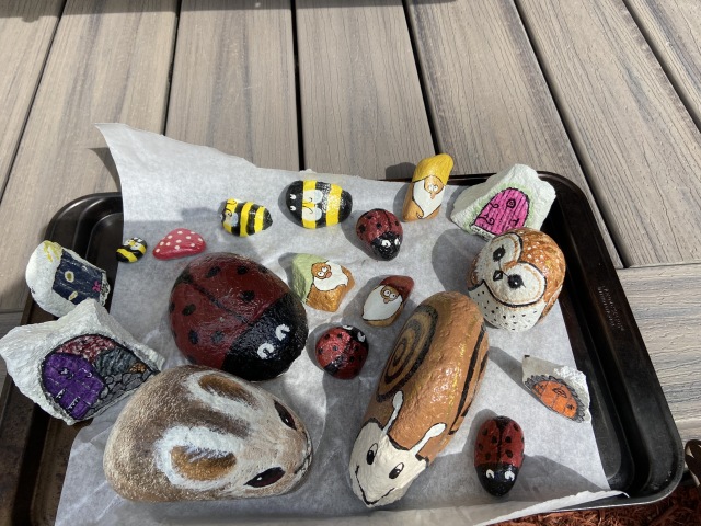 2020/08(August)/Colorado/640x480_2020-08-02-Colorado-29-painted-rocks.JPG