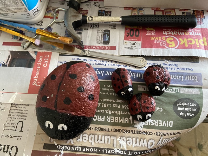 2020/08(August)/Colorado/800x600_2020-08-02-Colorado-27-painted-rocks.JPG