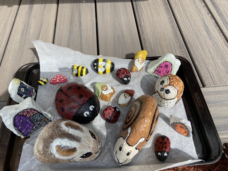 2020/08(August)/Colorado/800x600_2020-08-02-Colorado-29-painted-rocks.JPG