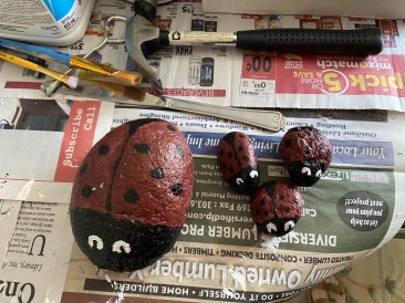 2020-08-02-Colorado-27-painted-rocks.JPG