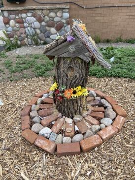2020-08-02-Colorado-28-tree-stump.JPG