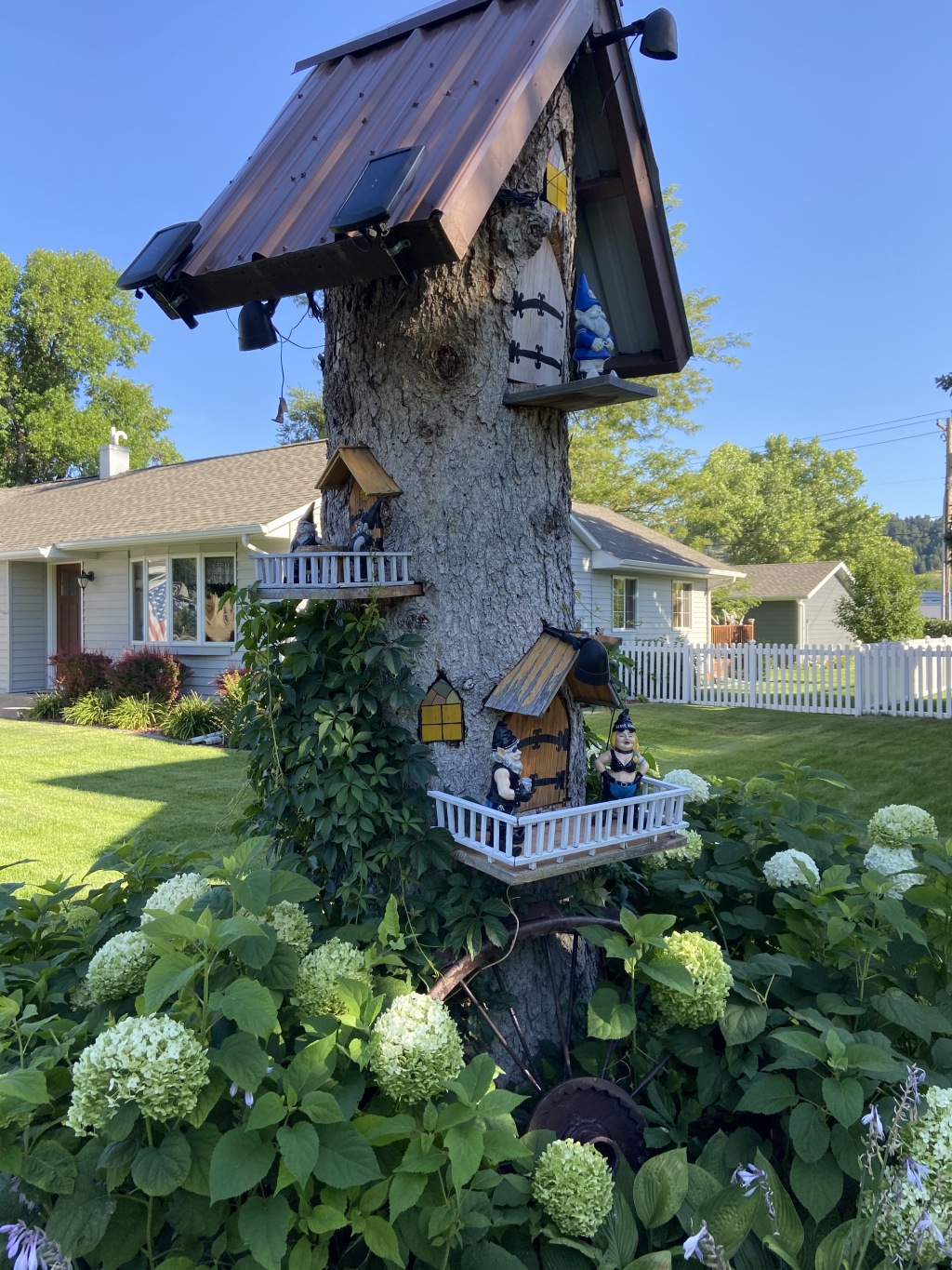 2020-08-09-Sturgis-03-treehouse.JPG