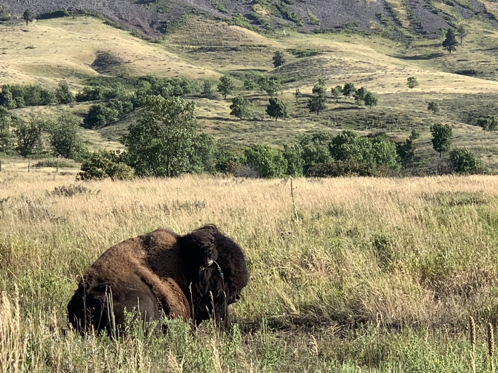 2020-08-12-Sturgis-11-Bear-Butte-bike-ride.JPG